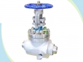 Steam Jacketed Gate, Globe, Check, Ball, Plug Valve