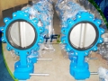 Lugged Concentric One Piece Shaft Butterfly Valve