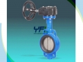 Lugged Concentric Double Shaft Butterfly Valve Without Pin