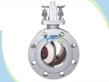 Ceramic Eccentric Semi Ball Valve