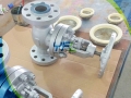 Anti-abrasive Ceramic Globe Valve