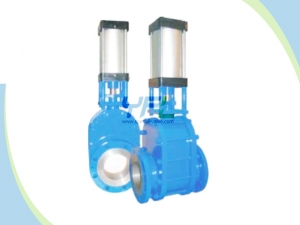 Ceramic double wedge gate valves