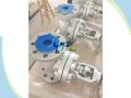 Anti-abrasive Ceramic Globe Valve