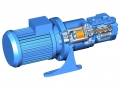 Single Screw Pump