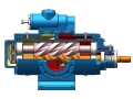 Double screw pump