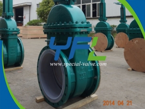 Fluorine lined gate valve