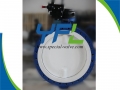 U type flange PTFE Lined Butterfly valve