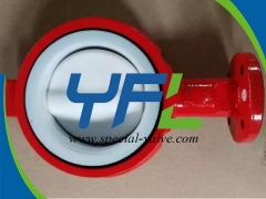 Bare stem Teflon Lined butterfly valve