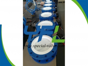 DIN PN10 PTFE  Lined butterfly valve