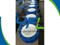 DIN PN10 PTFE Lined Butterfly valve