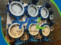 Lug PFA Lined Butterfly valve