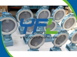 Bare stem FEP Lined butterfly valve