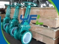 FEP Lined Gate Valve