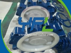 Lugged FEP Lined butterfly valve