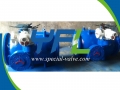 Plunger Valve For HPP