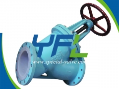 PFA Lined Y type globe valve