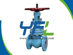 Fluorine lined gate valve