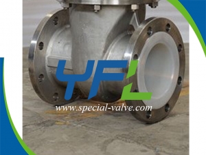 Fluorine lined gate valve