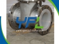 Stainless Steel Body PFA Lined Gate Valve