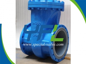 Fluorine lined gate valve