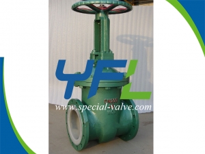 Fluorine lined gate valve