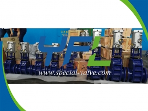 Ceramic double wedge gate valves