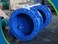 High Peformance Double Offset Soft Seal Butterfly Valve