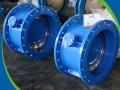 High Peformance Double Offset Soft Seal Butterfly Valve