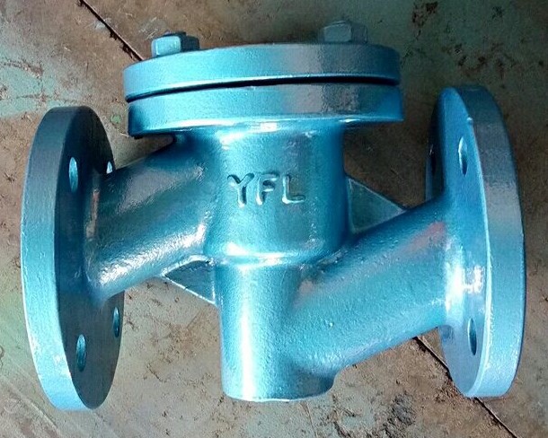 FEP Lined Lift Type Check Valve To Hongkong 