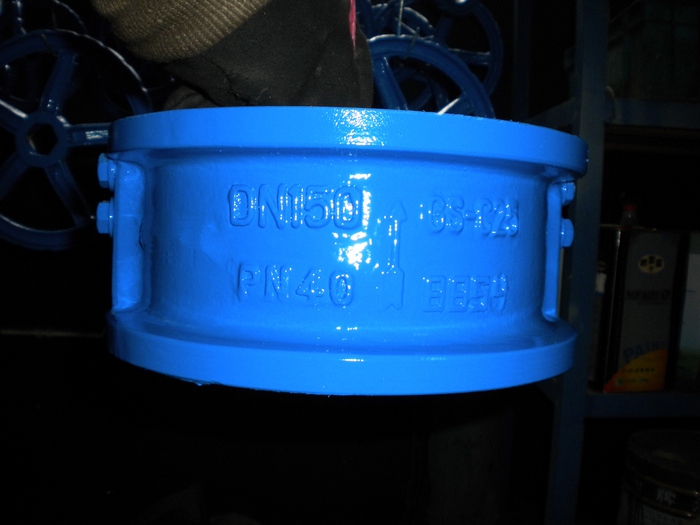 DIN 3202 Wafer dual plate check valve exported to Germany