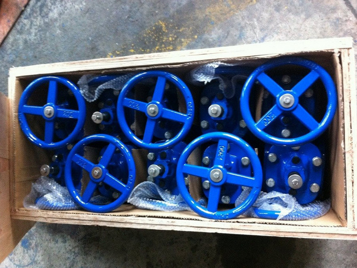 GG25 Cast iron gate valves and globe valves exported to Bulgaria