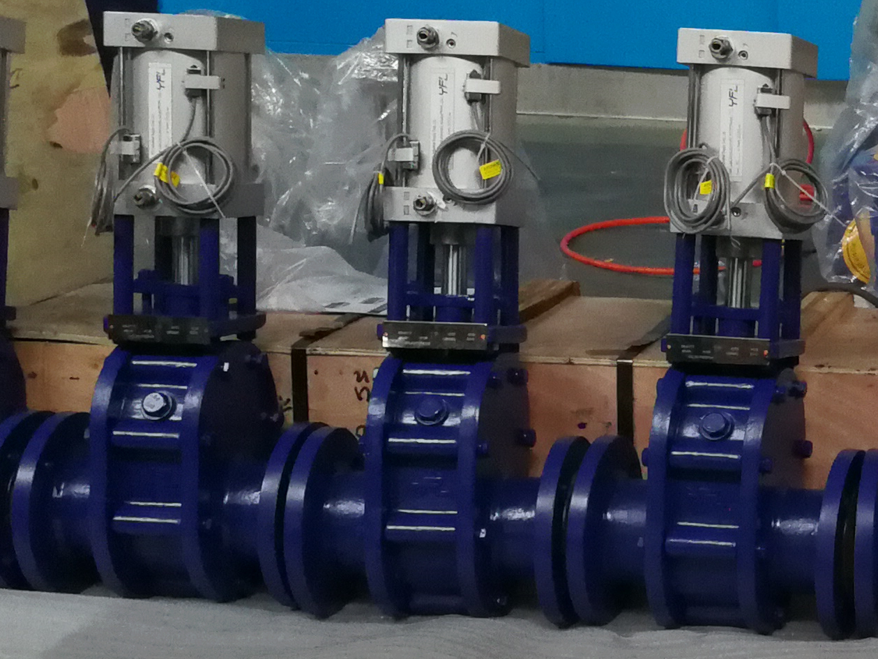 Ceramic double disc gate valves to Philippine again