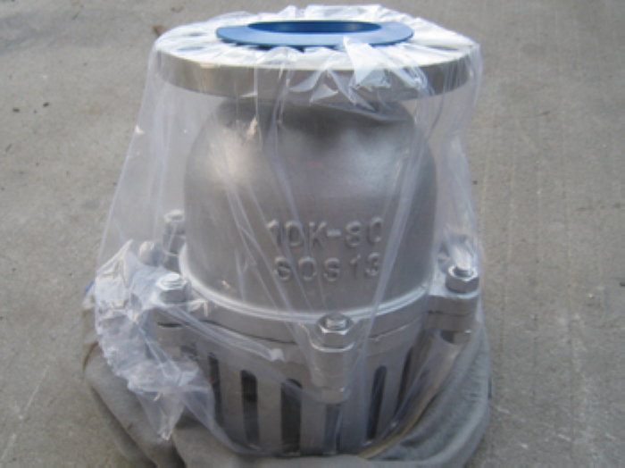 JIS10K SCS13 Foot valve DHL to Germany