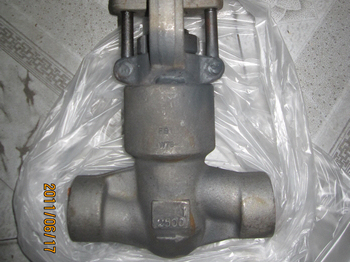 2500lbs F91 pressure seal globe valves exported to Germany by airfreight