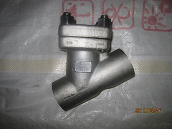 F304 Strainers and F22 gate, globe, check valves exported to Germany