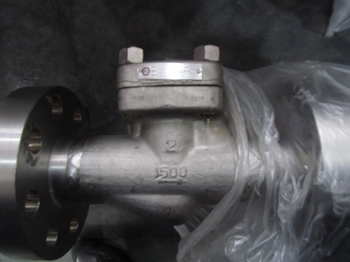 F316 Cryogenic lift type check valve exported to Germany