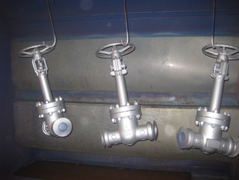 600lbs BW WC9 Bellows seal gate valves exported to Germany