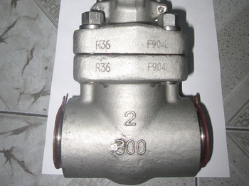 API 602 904L forged gate valves exported to Germany