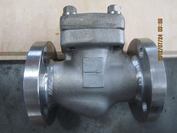 904L Duplex stainless steel lift type check valve exported to Indonesia